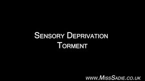 Sensory Deprivation Torment