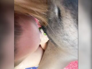 She loves the ramrod 2