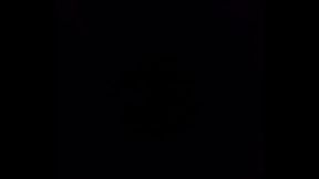 Brincando com um p&ecirc_nis