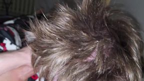 My Boy Know How to Swallow, No Cenz.