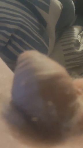 My Dick in Action