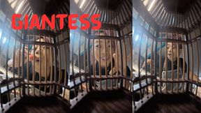 Kitchen Morning: The Captive Audience