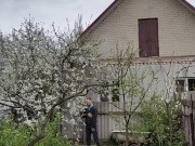 The spring rain is clouding