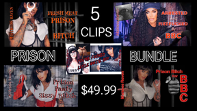 PRISON BUNDLE- 5 CLIPS
