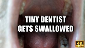 Tiny Dentist Gets Swallowed - 4k UHD 2160p - KingMarti - MOV