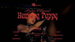 Humping Like A Puppy In Heat!