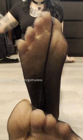 Nylon Socks