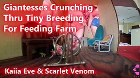 giantesses crunching thru tiny breeding for feeding farm