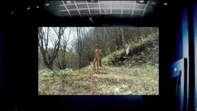 The Best Catch for the Hunters