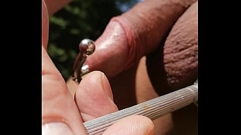 Pin Wheel On Penis Head Penis and  Balls Part 1