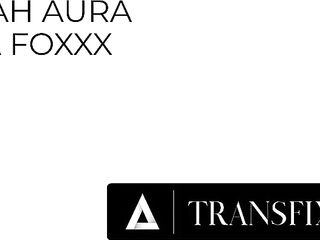 TRANSFIXED - Charming Zariah Aura & Girlfriend Ana Foxxx Delicate Pont of time Leads To Vehement Sex