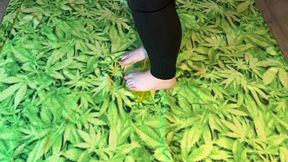 (cr-9) Bigbootylucy Stomps Beach Toys Barefoot 1