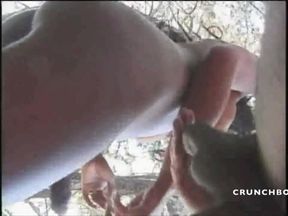 Sexy Latino shemale fucked by straight curious in exhibit wood