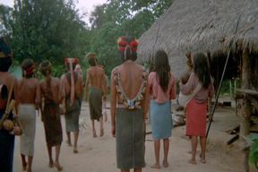 Jungle Blue - 1978 (Restored)