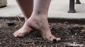 Shortlivedtyranny Barefoot in the Garden
