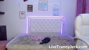 kendra seex Shemale Live Cum Show