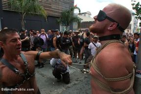 Dore Alley Pig