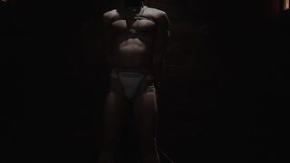 Dominant Desire Training a Submissive