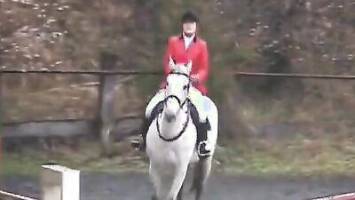 Real Players Riding