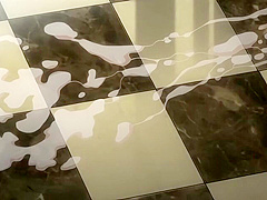 Gentle Illusion in the corner_20082802p0