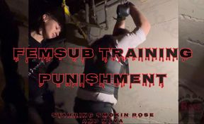 Femsub Training Punishment- Starring Smokin Rose and Nova