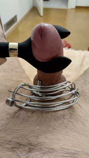Cum after chastity