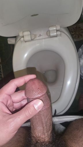 Masturbating my hard dick in the bathroom. Lots of precum dripping until my cumshot