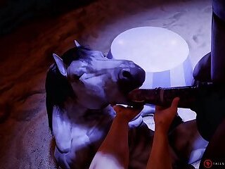 PMV - The Farm
