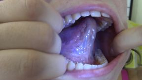 Lilah's Mouth Tour