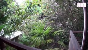 Resort Affair - Arisa, 41 -3