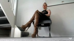 Edge and pay your tax loser (MOV)