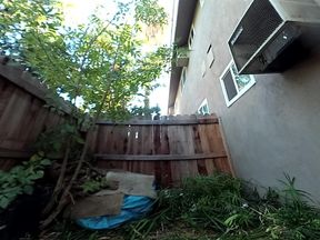 Lizzy Yum VR 2025 Edging #194