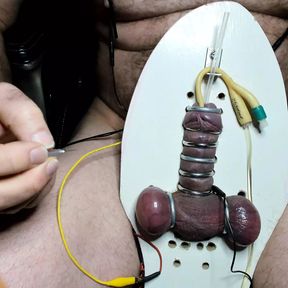 Electro strapped to board needles in testes