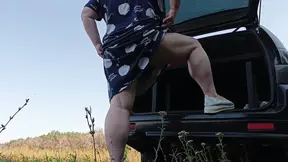 De buurtbezoekers natte spuit show bij de auto