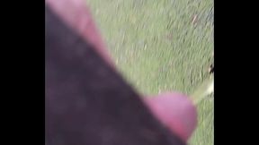 Fmeanal420 - update #4 - 20240206 142817 - Jun 22, 2024