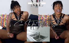 Cum in the Kitchen Sink