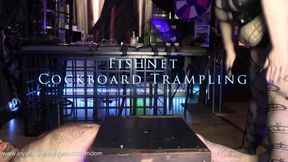 Fishnet Cockboard Trampling