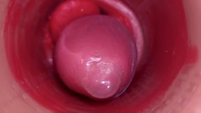 Inside a Camgirl Cervix POV Camera in Vagina with Big Dick Toy