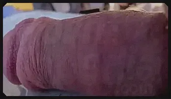 Slow Motion Sensual Delight: SloMo\'s Bouncy Treat