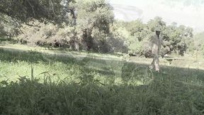 amber rayne, hannah west and kaci star in outdooor gangbang