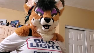 furry x human