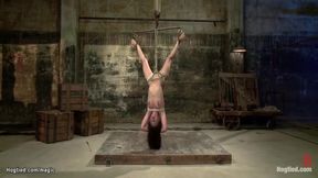 Babe In Suspension Throat Fucked