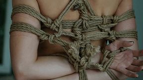 Excellent shibari technique for true experts