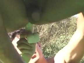 Brazilian Cowboy