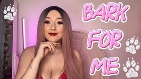 Bark For Me - Pet Praise POV