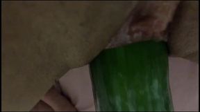tight pussy gets stretched by big cucumber - latinos puercos