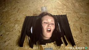 Gorgeous Teenage Spreads her Legs