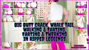 Big Butt Crack, Whale Tail, Walking & Farting, Farting & Twerking In Ripped Leggings 1920x1080 MP4