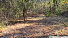 Horny MILF Takes HUGE Creampie on Hike