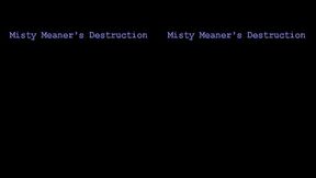 Misty Meaner's Destruction (Small)